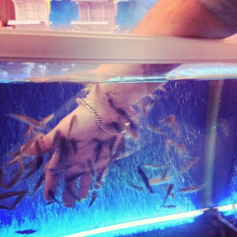 Марина Цвиренко | Москва