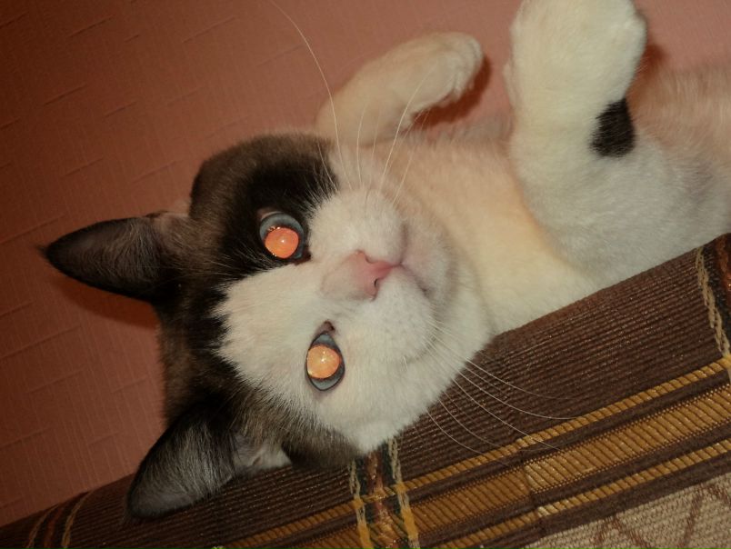 №139, Наталия Архипцова, Минск №139, Наталия Архипцова, Минск