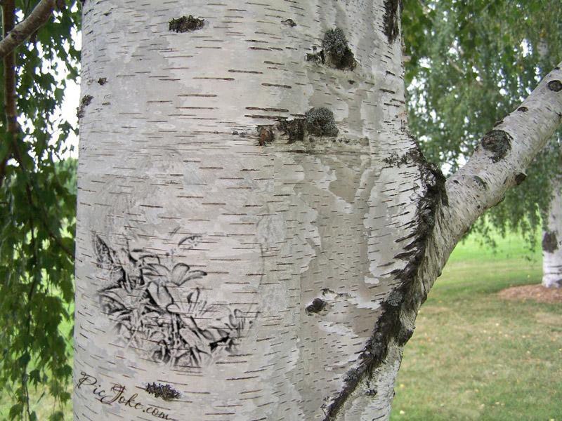 Ольга Сурина | Москва