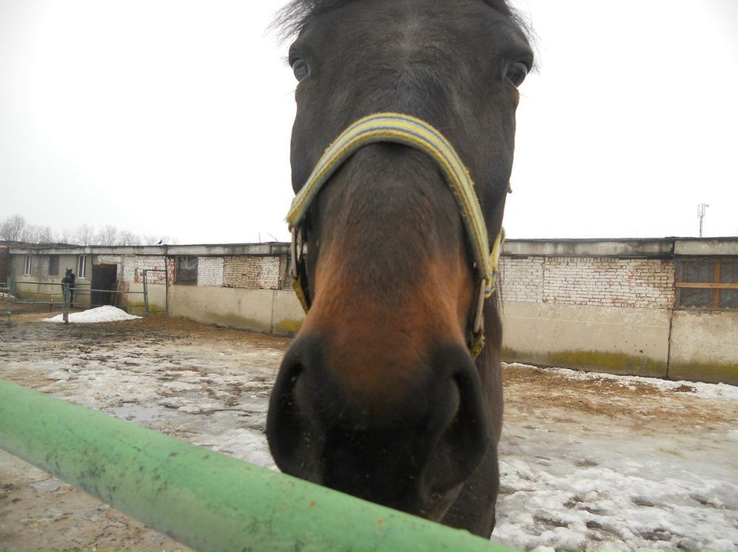 Таисия Медведева | Мытищи