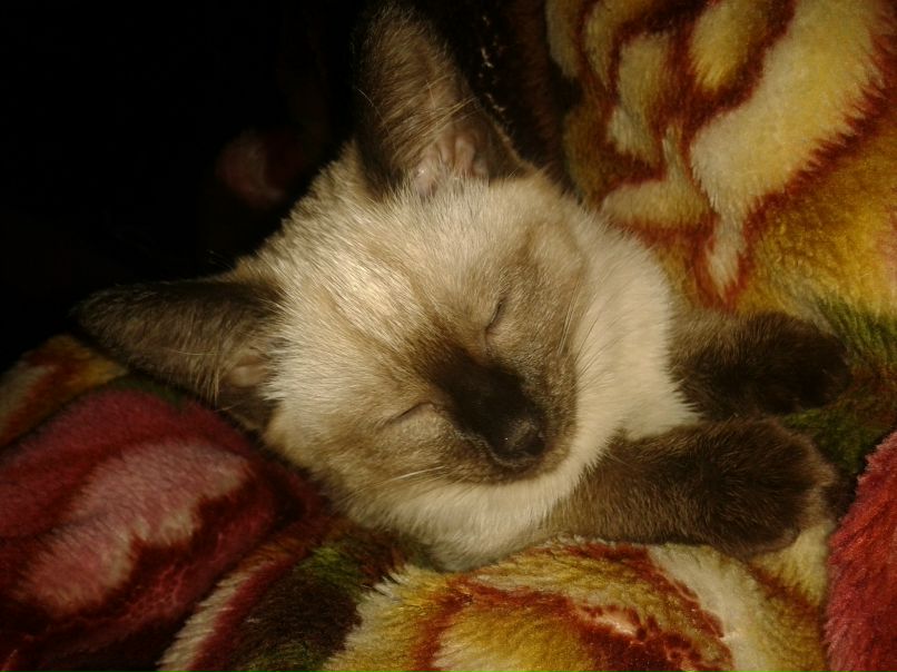 Валентина Заикина | Ханты-Мансийск