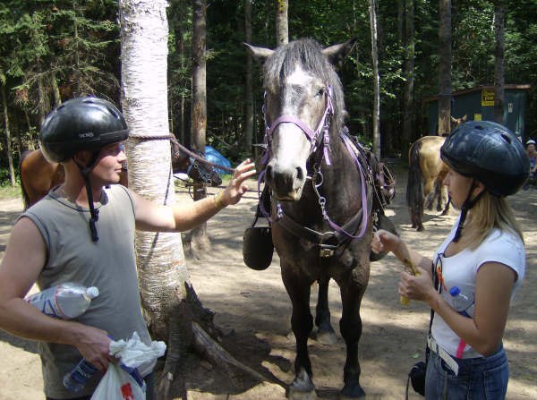 Сергей Сидоренко | Toronto
