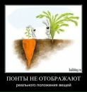 Фотография Ruslan Kolmogorov