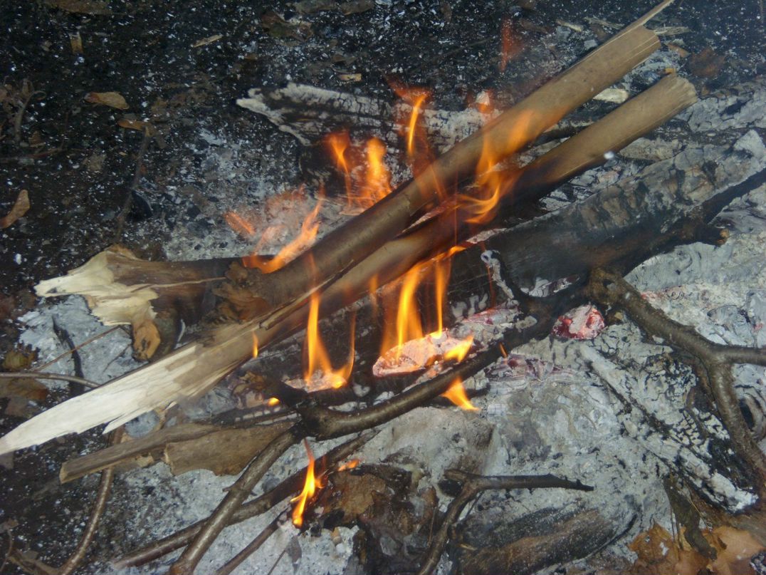 Дмитрий Гаранин | Ростов-на-Дону