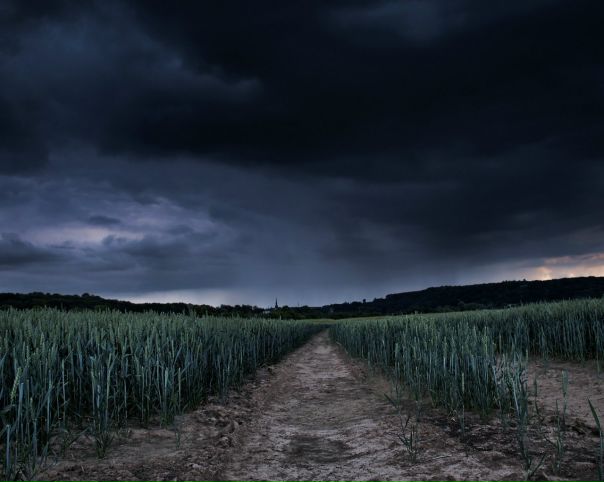 №109, Вероника Захарченко №109, Вероника Захарченко