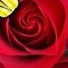 Татьяна Литвинова фото со стены #5