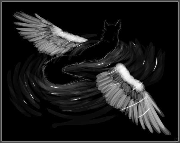 №131, Даниил Генерал-Мусиенко, 33 года, Кишинев №131, Даниил Генерал-Мусиенко, 33 года, Кишинев