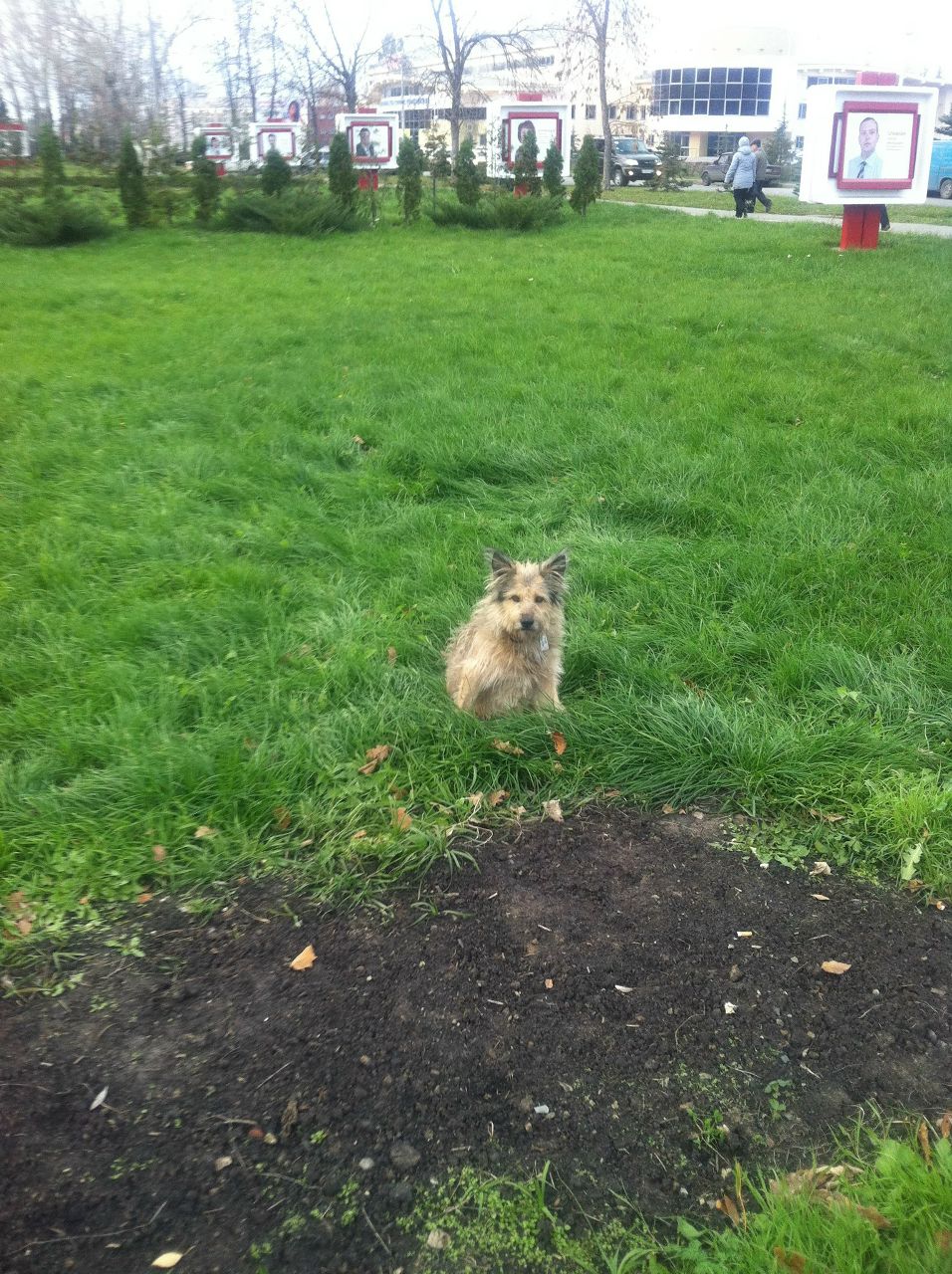 Крошка Тюлень | Москва