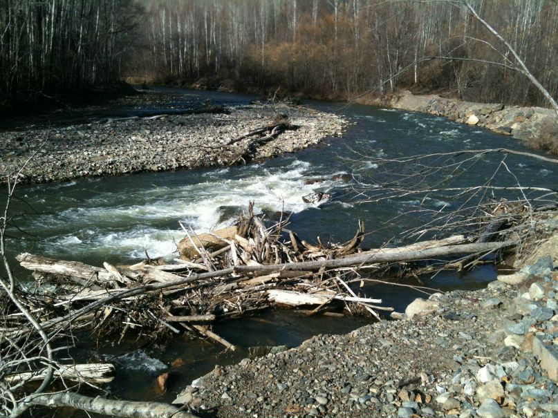 Арсений Шафоростов Flash | Солнечный