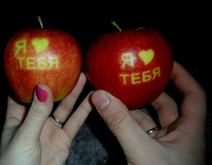 Александр Карпенко | Москва