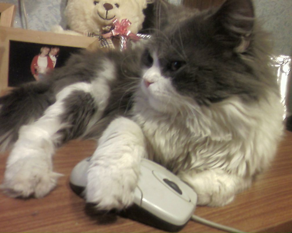 Ландыш Гарифзянова @Солнышко@ | Казань