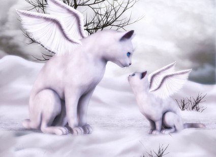 Andrei Bogdanov | Мурманск