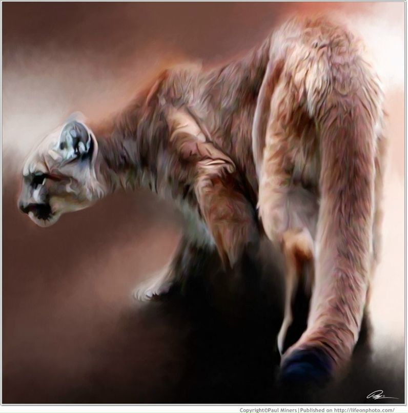 Владислав Карпов | Санкт-Петербург