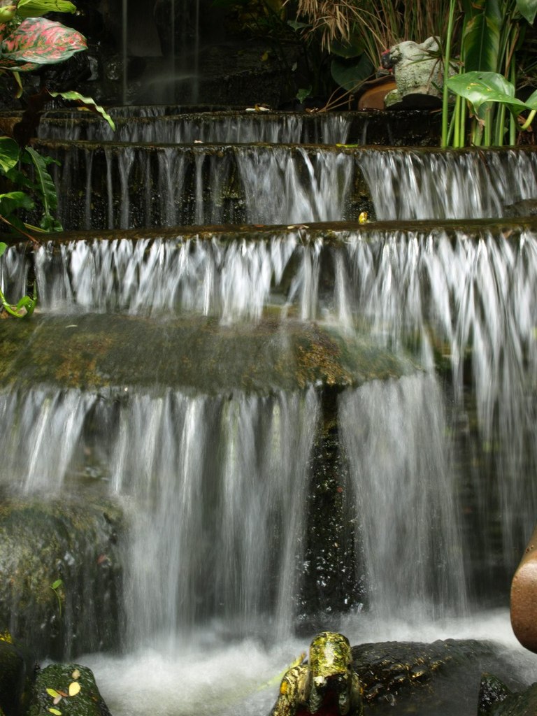 Николай Нидвора | 