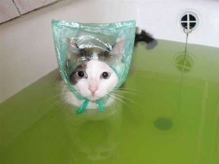 Антон Колесник | Москва