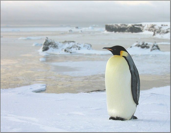 №2, Егор Арчинеков №2, Егор Арчинеков