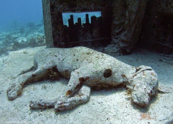 Никита Элхон | Санкт-Петербург