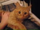 №7 Ксюша Антонова 24.08.1998: профиль, фото, статус - ВКонтакте №7 Ксюша Антонова 24.08.1998: профиль, фото, статус - ВКонтакте