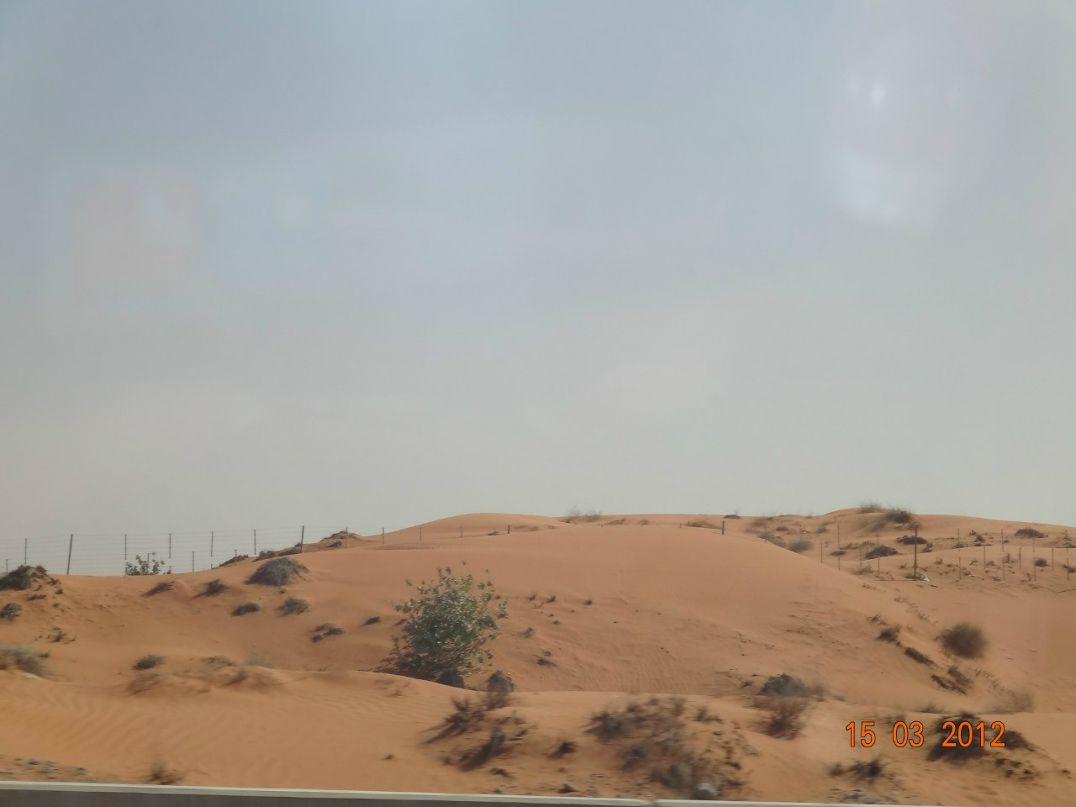 Ольга Кардапольцева | Уфа