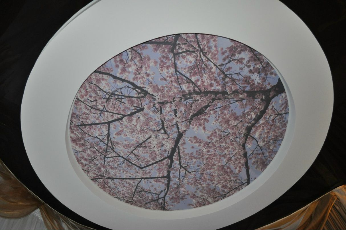 Александр Фадеев | Ярославль