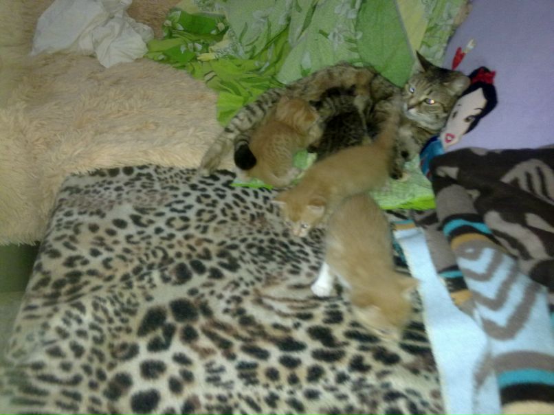 Анна Гуркина ♥♥♥ | Одесса