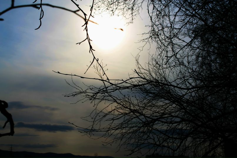 Алёна Раевская | Красноярск