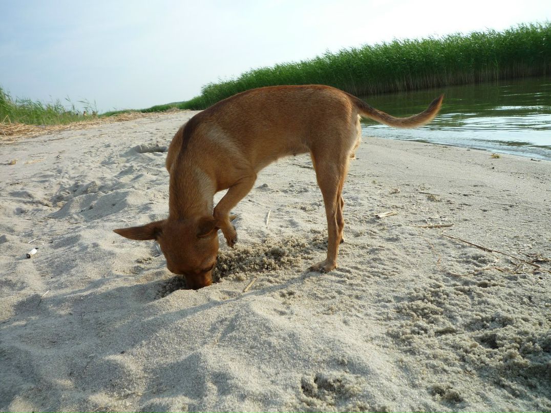 Александр Никитич | Омск