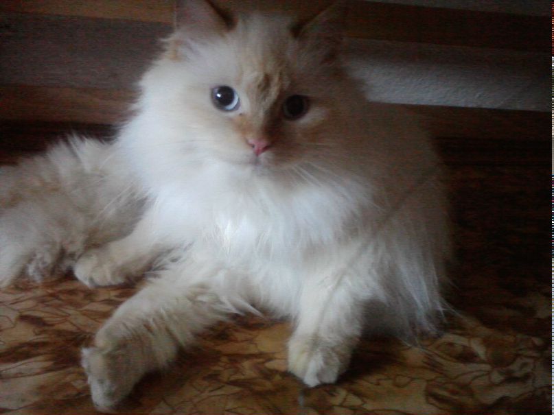 Оксана Лещенко | Гайсин