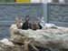 Ирина Петрова фотография #6