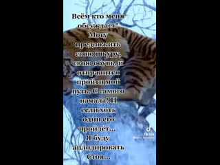 Видео от Саши Шакуро
