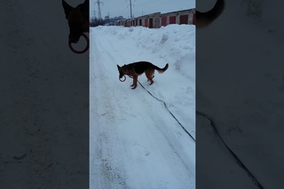 Варя