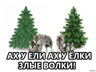 Ах У Ели, Ах У Ели, Ах У Ели злые Волки, разбросали все иголки)