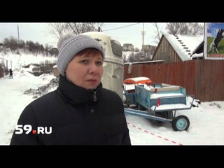 Новости Перми: конный клуб закроют