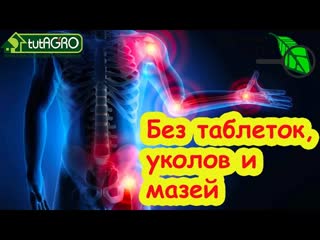 ЭТОТ НЕНАВИСТНЫЙ СОРНЯК ВЫЛЕЧИТ ВЕСЬ ОРГАНИЗМ: лечение суставов и почек без таблеток, мазей и уколов