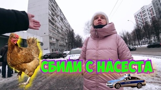 ГРАНИЦА СОВЕСТИ - ВАЖНАЯ ПТИЦА