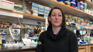Understanding Adrenal Cortical Carcinoma for Better Treatment Options
