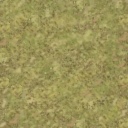 Aus grass6