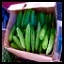 Product Farm Pickles on Pallet