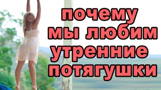 Утренние потягушки почему мы все утром потягиваемся и любим это полезно