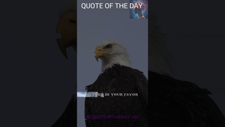 M|G     Motivational Video #motivation #shorts #viral #shortvideo #quote #mindsgame #facts  #nyc