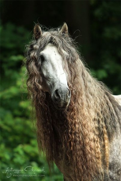 Ольга Шевченко | Мелитополь