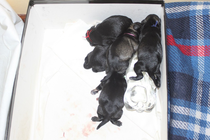 Александр Васильченко | Киев