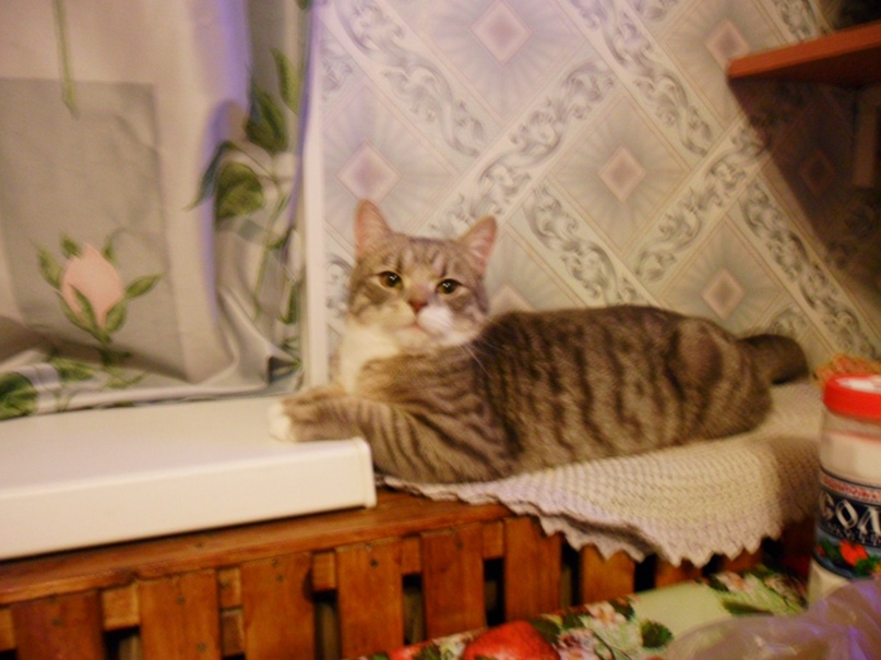 Геннадий Пугачёв | Никольское