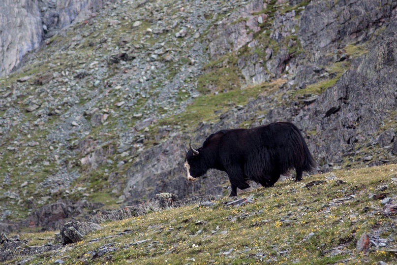 Сергей Малков | Новосибирск