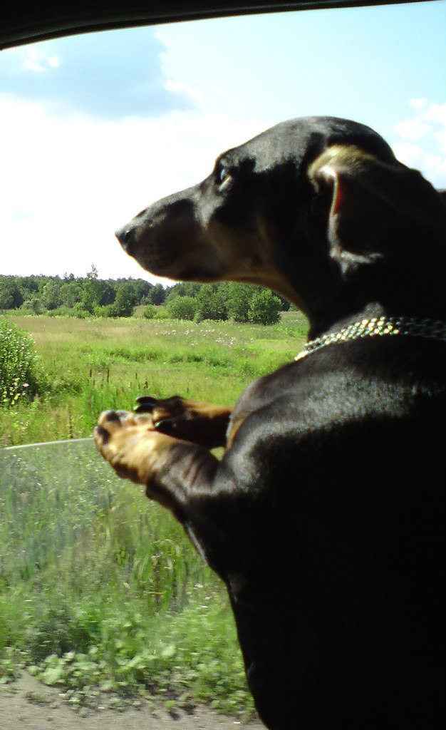 Ольга Степанова | Санкт-Петербург