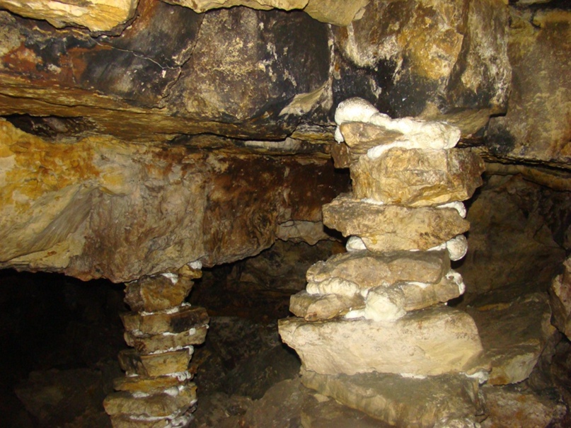 Алексей Скворцов | Нижний Новгород