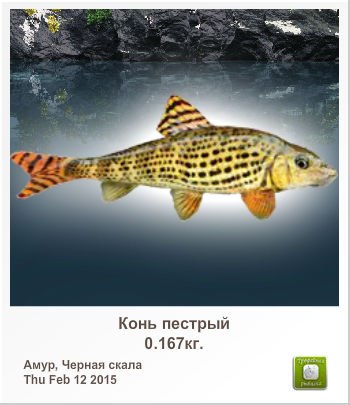 Владимир Бузин сергеевич | Ишимбай