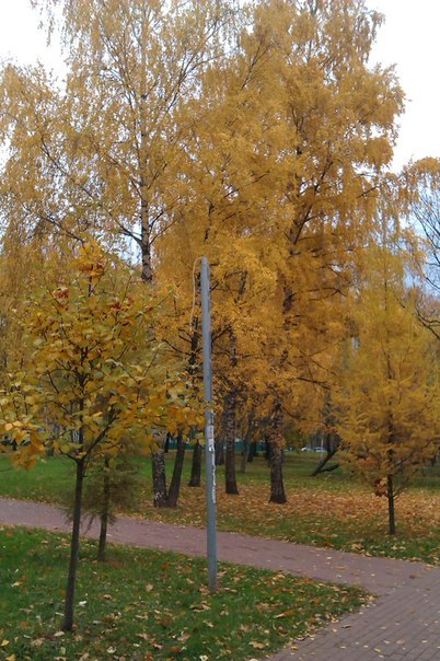 Жанна Климова | Москва