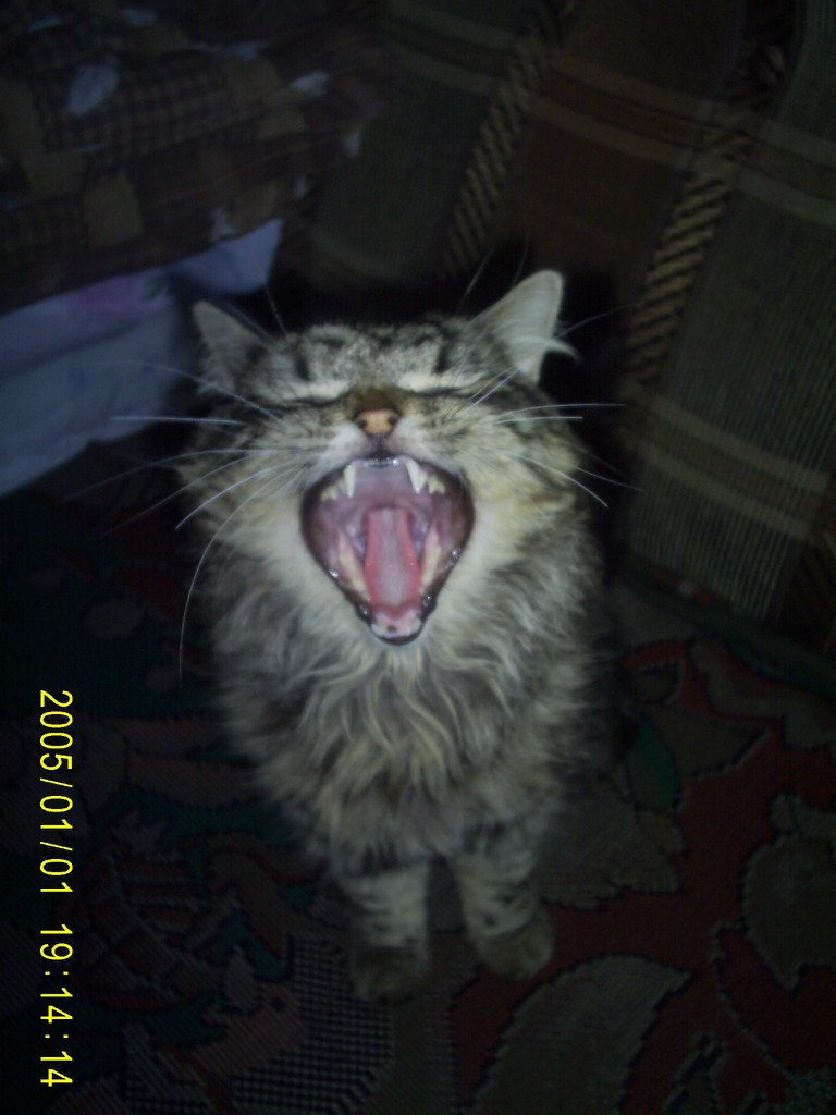 Надежда Рыжая | Киров