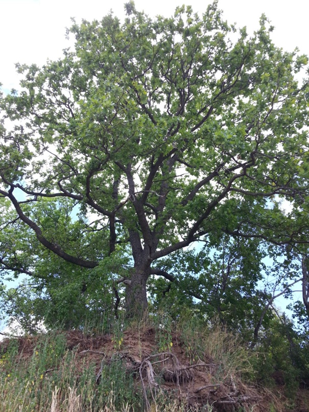 Сергей Дружинин | Самара